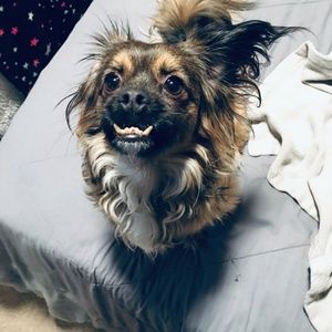 Meet your Posher, Roberta